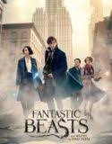 Nonton Fantastic Beasts and Where to Find Them Indonesia Subtitle