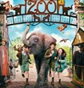 Nonton Movie Zoo 2018 Indonesia Subtitle