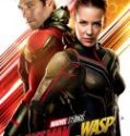Nonton Ant Man and the Wasp 2018 Indonesia Subtitle