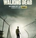 Nonton The Walking Dead Season 4 Indonesia Subtitle