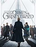 Nonton Fantastic Beasts The Crimes of Grindelwald 2018 Indonesia Subtitle