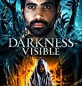 Darkness Visible 2019 Nonton Film Subtitle Indonesia
