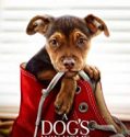 A Dogs Way Home 2019 Nonton Film Subtitle Indonesia