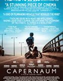 Capernaum 2018 Nonton Film Subtitle Indonesia