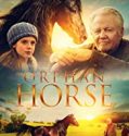 Orphan Horse 2019 Nonton Film Online Subtitle Indonesia