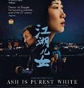 Ash Is Purest White 2018 Nonton Film Online Subtitle Indonesia