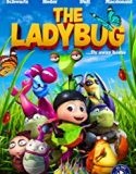 The Ladybug 2019 Nonton Film Online Subtitle Indonesia