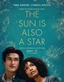 The Sun is Also a Star 2019 Nonton Film Subtitle Indonesia