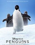 Penguins 2019 Nonton Film Online Subtitle Indonesia