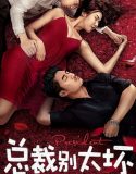 Young President and His Contract Wife 2018 Nonton Film Sub Indo