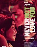 Never Not Love You 2018 Nonton Film Online Subtitle Indonesia