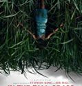 In the Tall Grass 2019 Nonton Film Horror Subtitle Indonesia