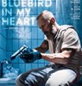 Nonton Film A Bluebird in My Heart 2019 Subtitle Indonesia
