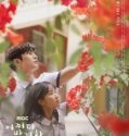 Extraordinary You 2019 Nonton Drama Korea Sub Indo