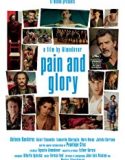 Nonton Film Pain and Glory 2019 Subtitle Indonesia