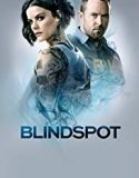 Nonton Serial Blindspot Season 4 Subtitle Indonesia
