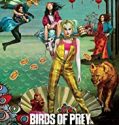 Streaming Birds of Prey And the Fantabulous Emancipation of One Harley Quinn Sub Indo
