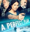 Streaming Film A Perfect Plan 2020 Subtitle Indonesia