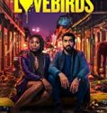 Streaming Film The Love Birds 2020 Subtitle Indonesia