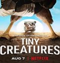 Nonton Serial Tiny Creatures Season 1 Subtitle Indonesia