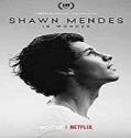 Nonton Movie Shawn Mendes In Wonder 2020 Subtitle Indonesia