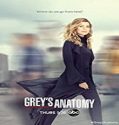 Nonton Serial Greys Anatomy Season 17 Subtitle Indonesia