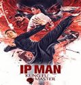 Nonton Movie Ip Man Kung Fu Master 2019 Subtitle Indonesa