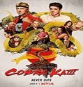 Nonton Serial Cobra Kai Season 3 Subtitle Indonesia