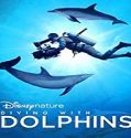 Streaming Film Diving with Dolphins 2020 Subtitle Indonesia