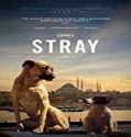 Streaming Film Stray 2020 Subtitle Indonesia