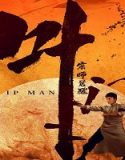 Nonton Film Ip Man The Awakening Master 2021 Subtitle Indonesia