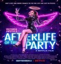 Nonton Streaming After Life Of The Party 2021 Subtitle Indonesia
