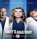 Nonton Serial Greys Anatomy Season 18 Subtitle Indonesia