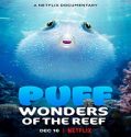 Nonton Movie Puff Wonders Of The Reef 2021 Subtitle Indonesia