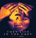 Streaming Film They Live In The Grey 2022 Subtitle Indonesia