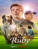 Nonton Movie Rescued By Ruby 2022 Subtitle Indonesia