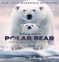 Streaming Film Polar Bear 2022 Subtitle Indonesia