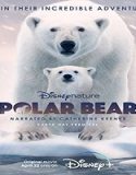 Streaming Film Polar Bear 2022 Subtitle Indonesia