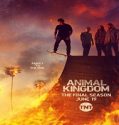 Nonton Serial Animal Kingdom Season 6 Subtitle Indonesia