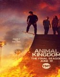 Nonton Serial Animal Kingdom Season 6 Subtitle Indonesia
