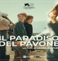 Nonton Movie The Peacocks Paradise 2021 Subtitle Indonesia