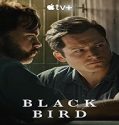 Nonton Serial Black Bird Season 1 Subtitle Indonesia