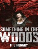 Nonton Something In The Woods 2022 Subtitle Indonesia