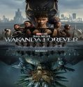 Nonton Black Panther Wakanda Forever 2022 Subtitle Indonesia