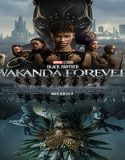Nonton Black Panther Wakanda Forever 2022 Subtitle Indonesia