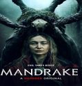 Nonton Film Mandrake 2022 Subtitle Indonesia
