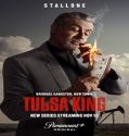 Nonton Serial Tulsa King Season 1 Subtitle Indonesia
