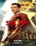 Nonton Shazam Fury of the Gods 2023 Subtitle Indonesia