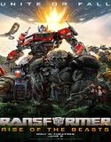 Nonton Transformers Rise of the Beasts 2023 Subtitle Indonesia