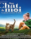 Nonton A Cats Life 2023 Subtitle Indonesia